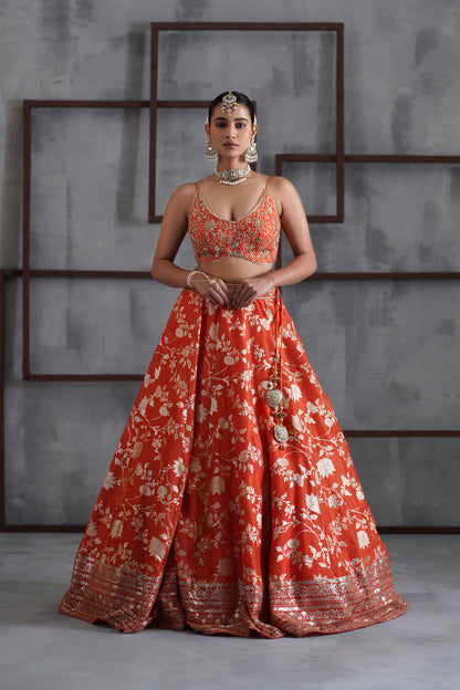Orange Embroidered Bustier, Banarsi Lehenga and Dupatta