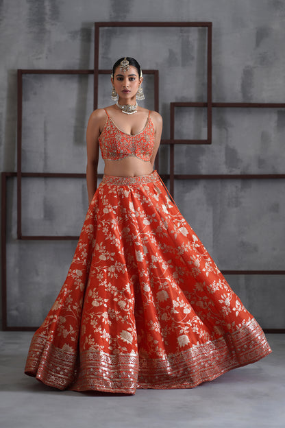 Orange Embroidered Bustier, Banarsi Lehenga and Dupatta