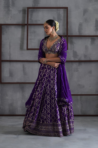 Purple Embroidered Blouse, Banarsi Lehanga and Dupatta