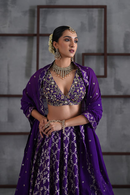 Purple Embroidered Blouse, Banarsi Lehanga and Dupatta