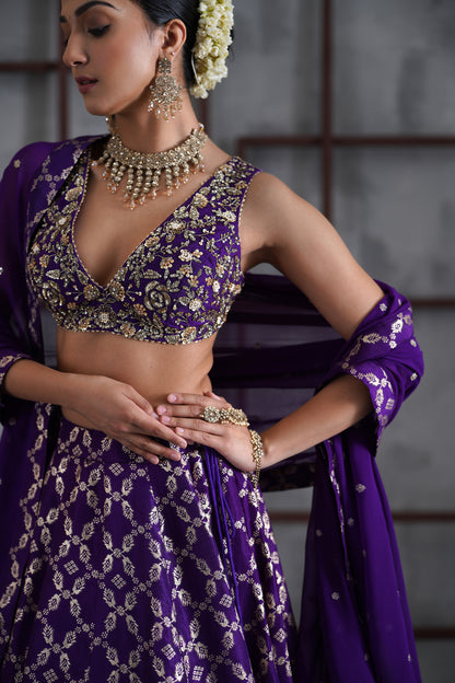 Purple Embroidered Blouse, Banarsi Lehanga and Dupatta