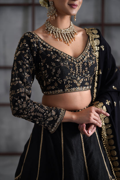 Black Embroidered Blouse, Brocade Lehenga and dupatta