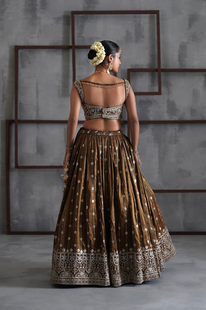 Brown Embroidered Blouse, Lehenga and Dupatta