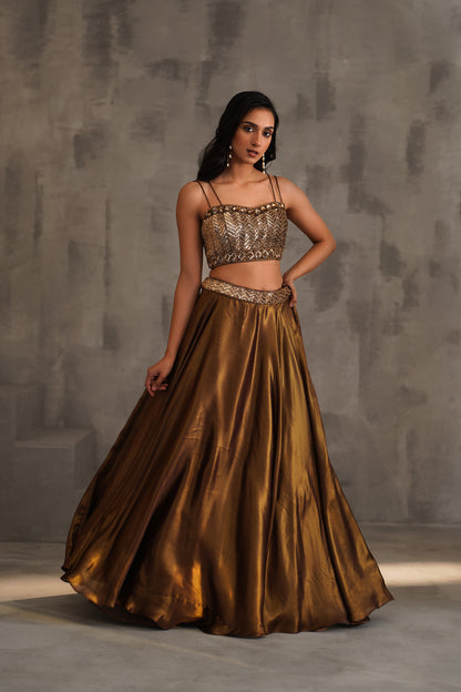 Bronze Embroidered Bustier, Lehanga and Dupatta