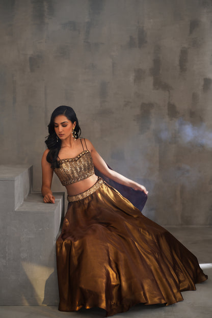 Bronze Embroidered Bustier, Lehanga and Dupatta