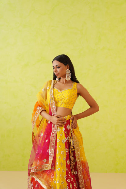 Multi colour panelled Lehenga, Blouse and Dupatta Set