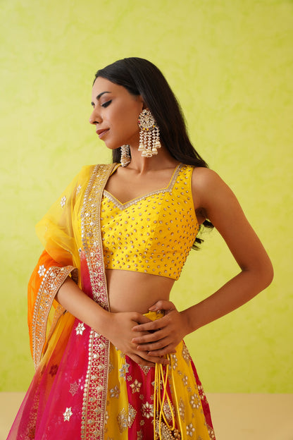 Multi colour panelled Lehenga, Blouse and Dupatta Set