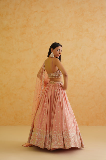 Pink georgette tissue lehenga, Blouse and dupatta Set