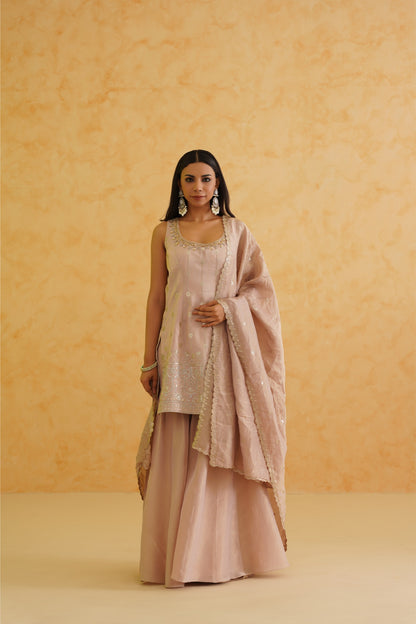 Blush pink georgette tissue sharara, Kurti and dupatta Set